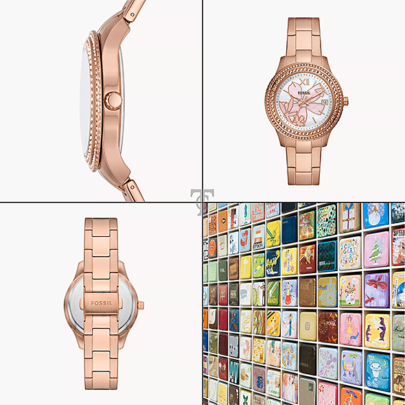 FOSSIL ES5192 portré kép