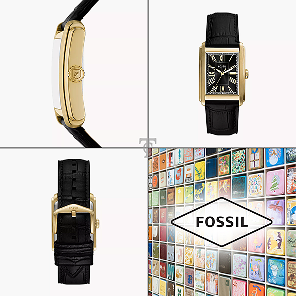 FOSSIL FS6091 portré kép