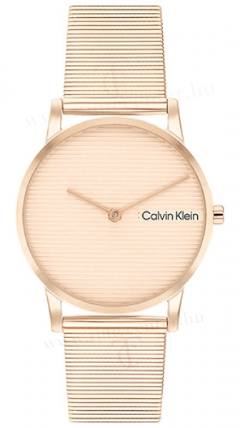 Calvin Klein CK25100036 karóra