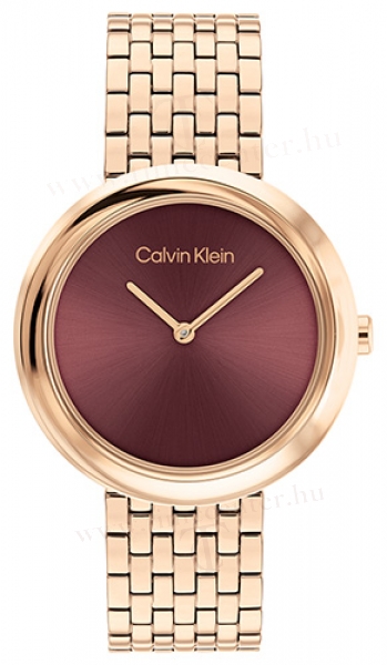 Calvin Klein CK25100067 karóra