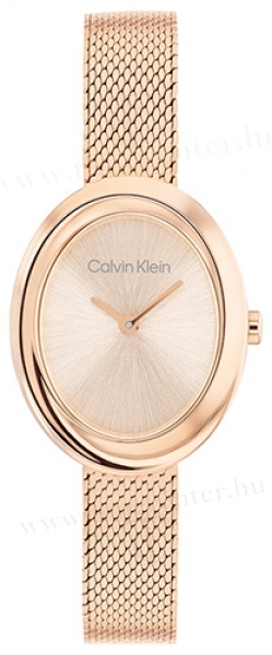 Calvin Klein CK25100153 karóra