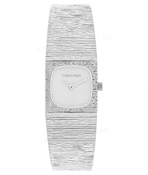Calvin Klein CK25100177 karóra